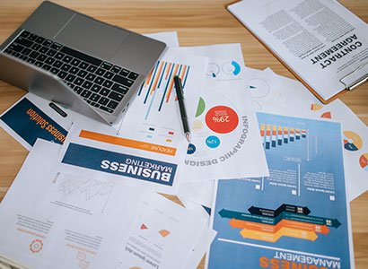 Business Consultancy Services